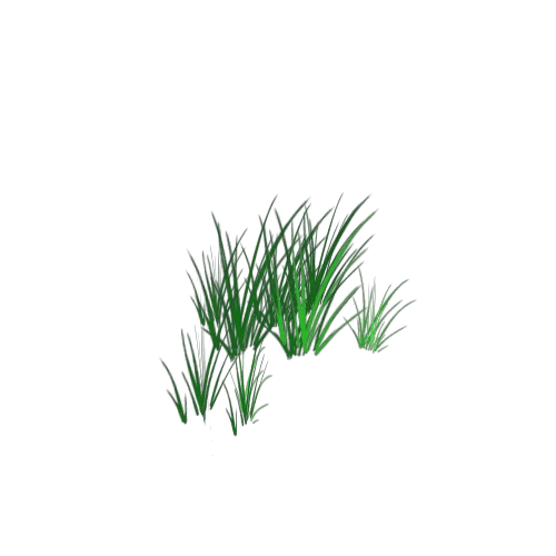 High Grass x 8